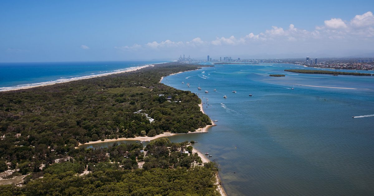 are dogs allowed on stradbroke island