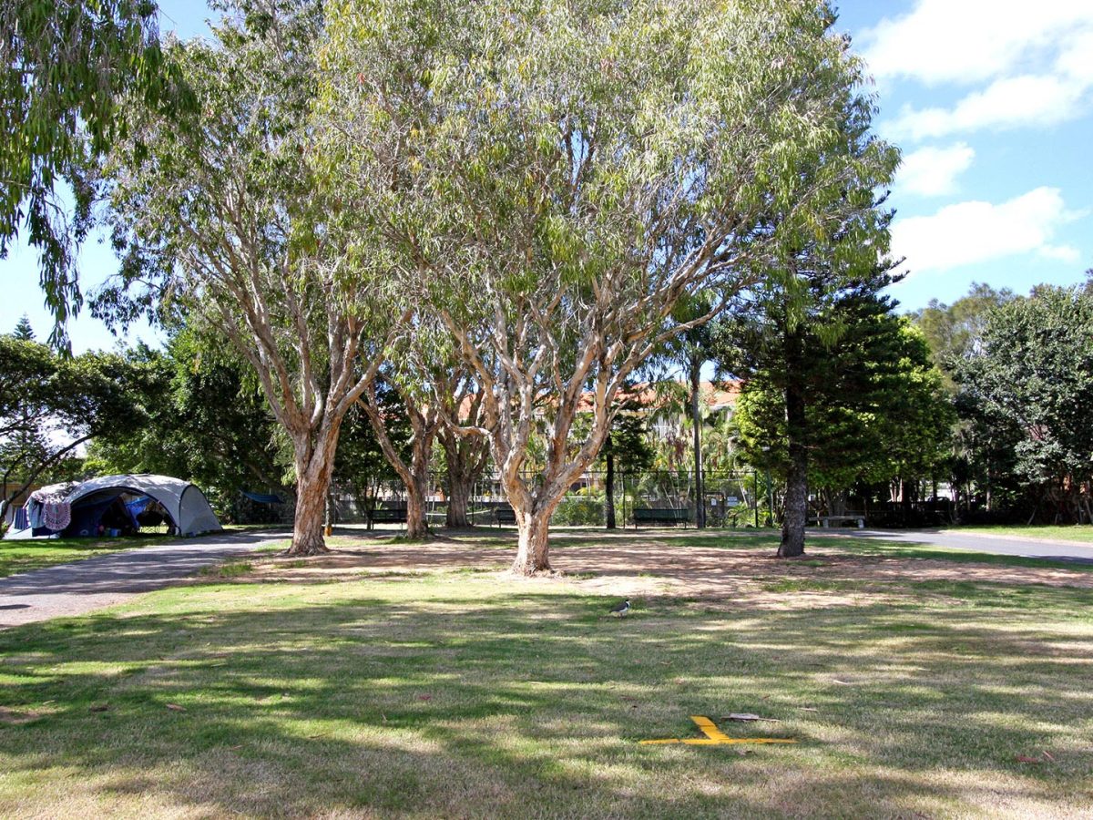 Unpowered Tent Site Gold Coast Tourist Parks