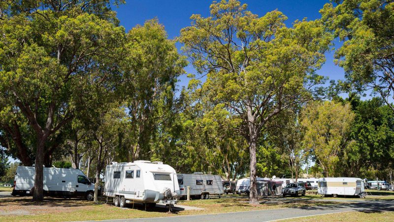 Jacobs Well Tourist Park Information | Gold Coast Tourist Parks