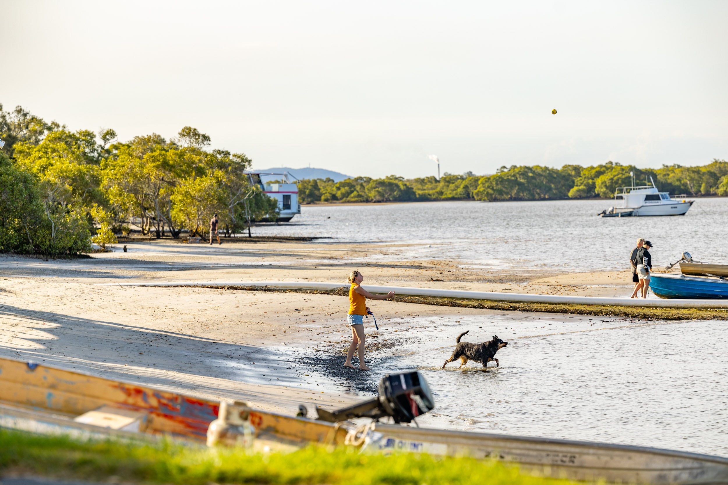 A woman on a beach at Jacobs Well playing fetch with her border collie.