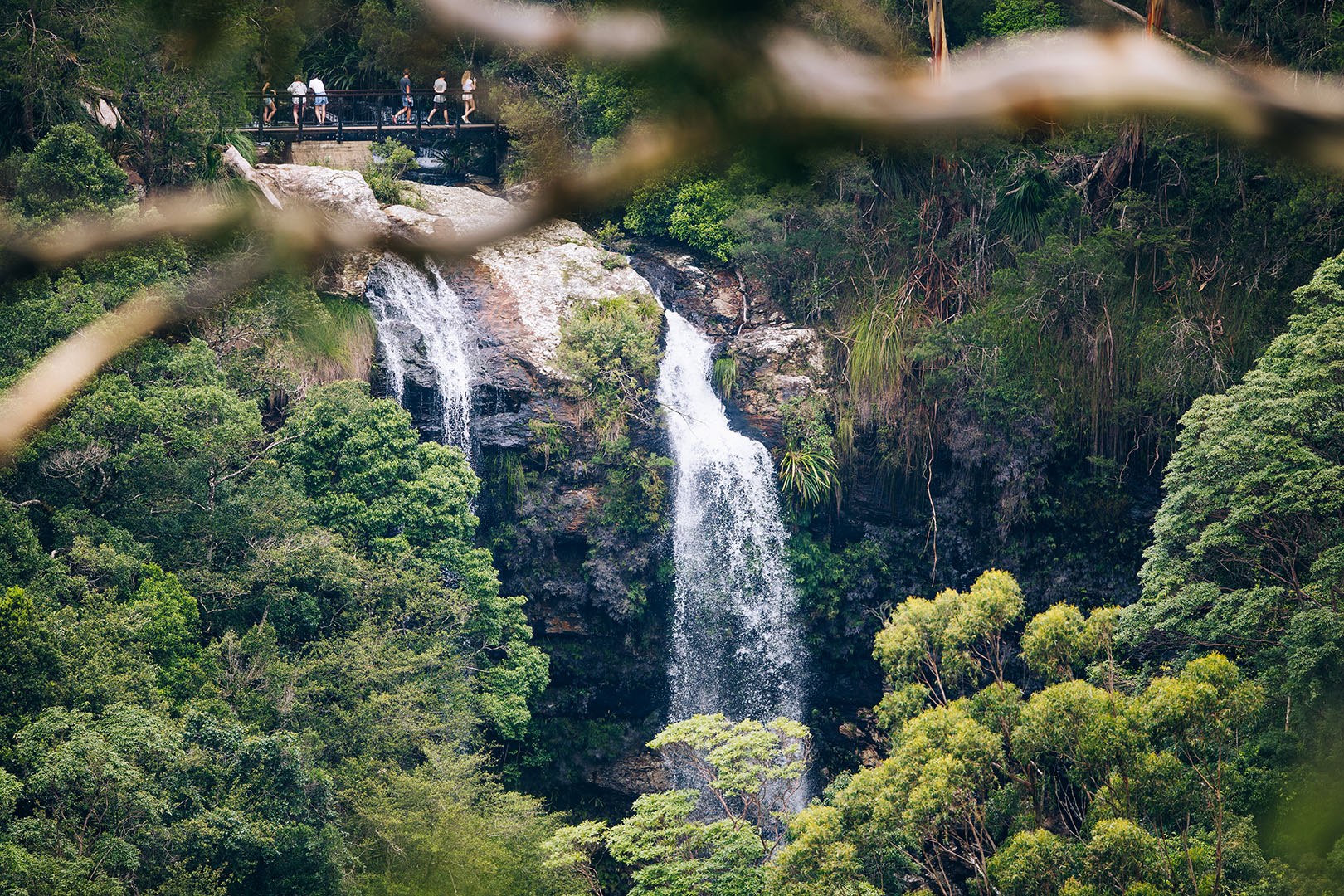 Twin Falls waterfalls cascading over rock formations and surrounded by lush rainforest.