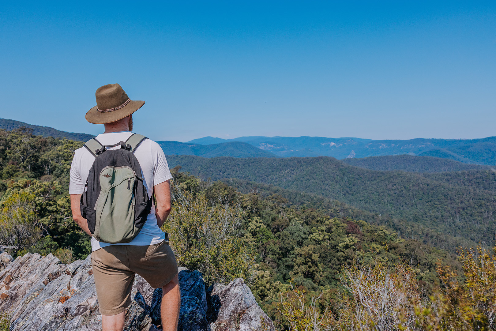 A main near the summit of Pages Pinnacle, looking out at Advancetown Lake and the hinterland.