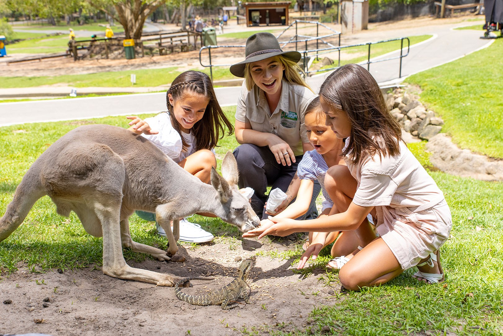 Three young girls feeding a kangaroo at Currumbin Wildlife Sanctuary with a staff member.