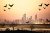 Placeholder image for Have a spooktacular weekend at Kirra Beach Touris…