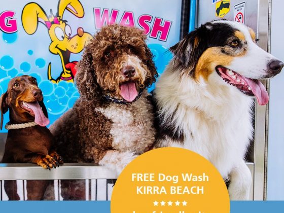 Hot Deal - dog wash, Kirra Beach