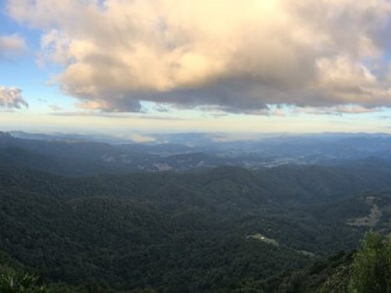 Springbrook National Park - Best of All Lookout