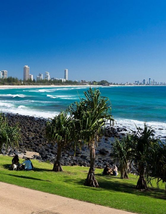 can you take dogs to burleigh beach