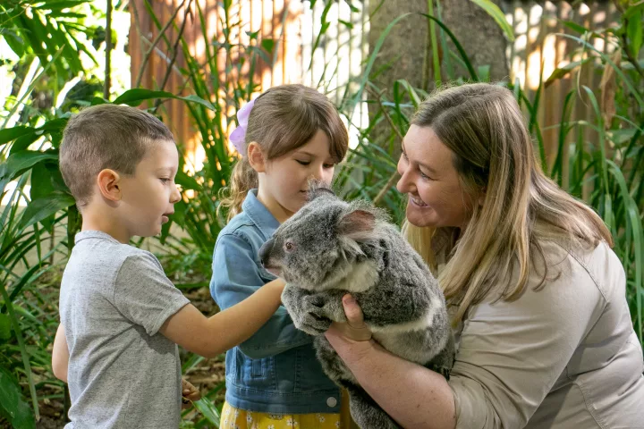 Currumbin Wildlife Sanctuary