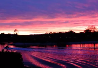 Purple Sunset over the Creek